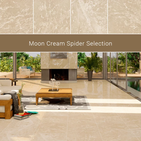 Moon Cream Spider